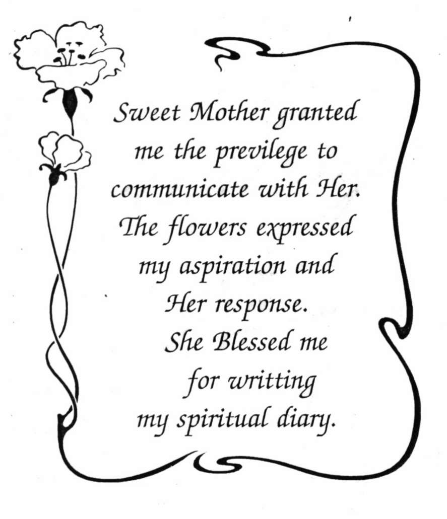 Pre-Content - 0005-1.jpg